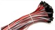 Livraison gratuite, 3PIN seule tête 2.54 mm femelle Dupont câble 20 cm jump fil pour arduino AWG24